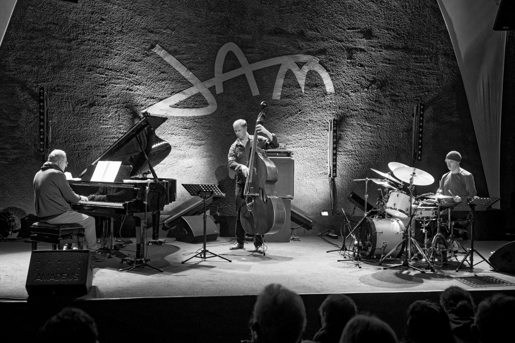 Enrico Pieranunzi Trio © Frank Bigotte